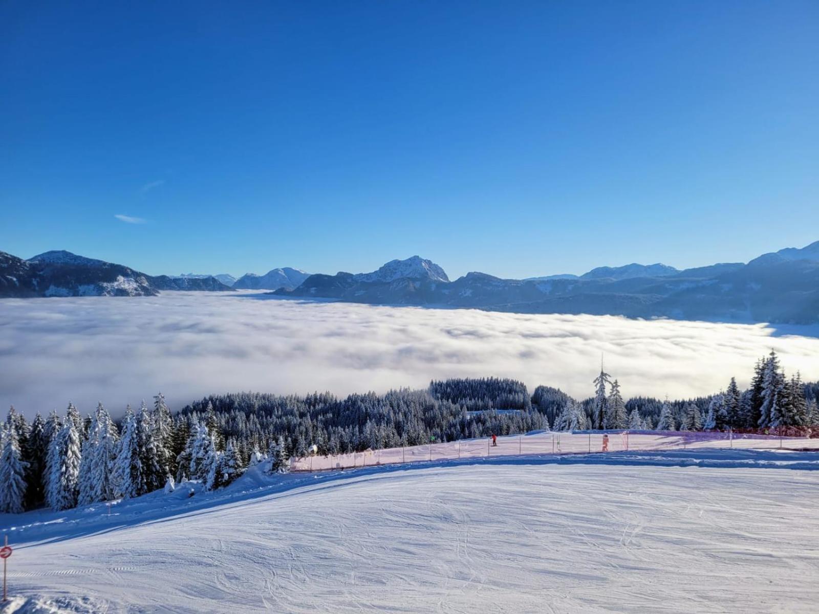 Alpenhaus Dachstein.Zauber Lejlighed Abtenau Eksteriør billede