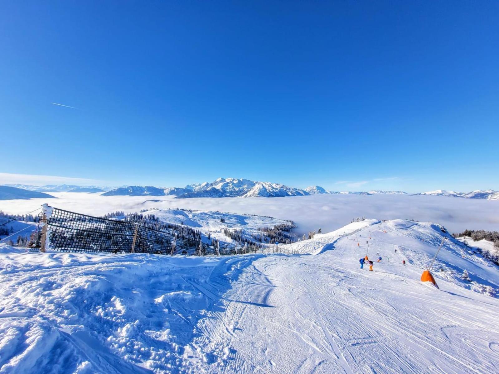 Alpenhaus Dachstein.Zauber Lejlighed Abtenau Eksteriør billede