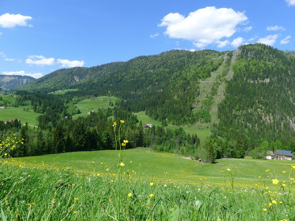 Alpenhaus Dachstein.Zauber Lejlighed Abtenau Eksteriør billede