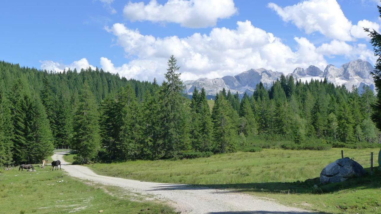 Alpenhaus Dachstein.Zauber Lejlighed Abtenau Eksteriør billede