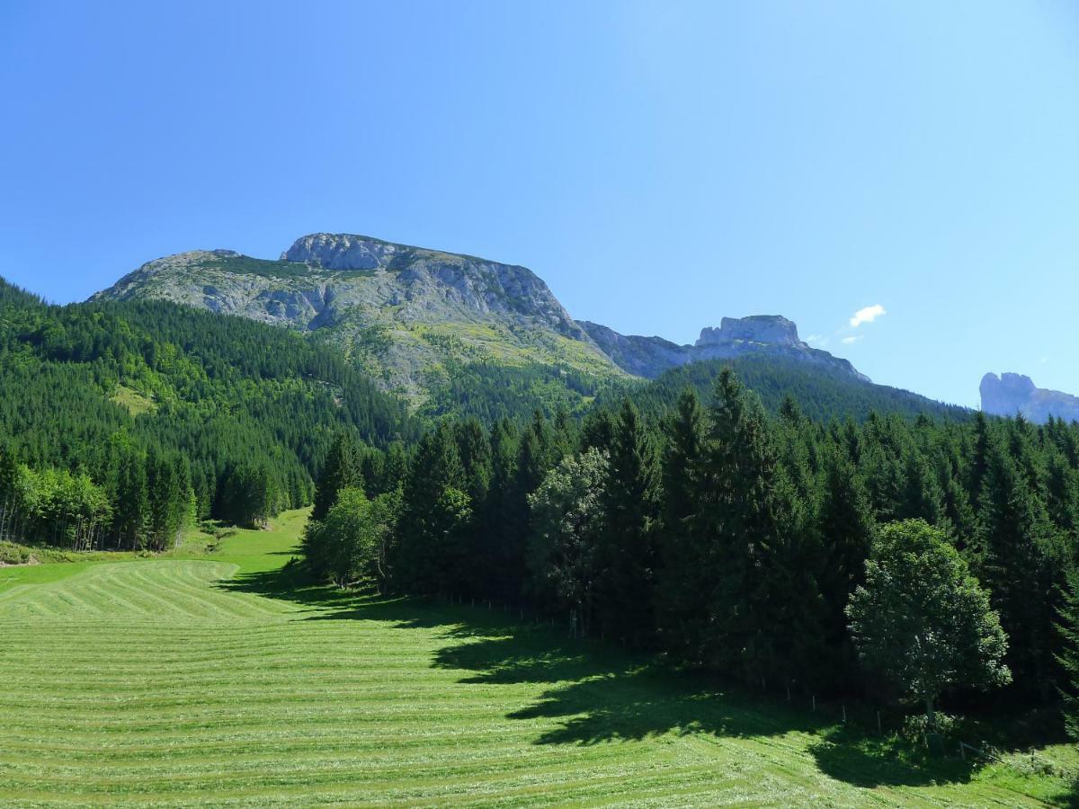 Alpenhaus Dachstein.Zauber Lejlighed Abtenau Eksteriør billede