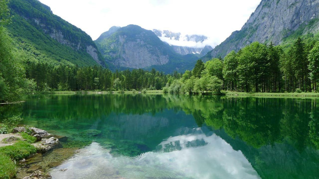 Alpenhaus Dachstein.Zauber Lejlighed Abtenau Eksteriør billede