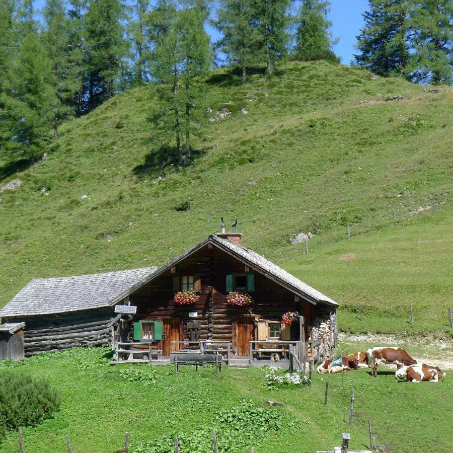 Alpenhaus Dachstein.Zauber Lejlighed Abtenau Eksteriør billede