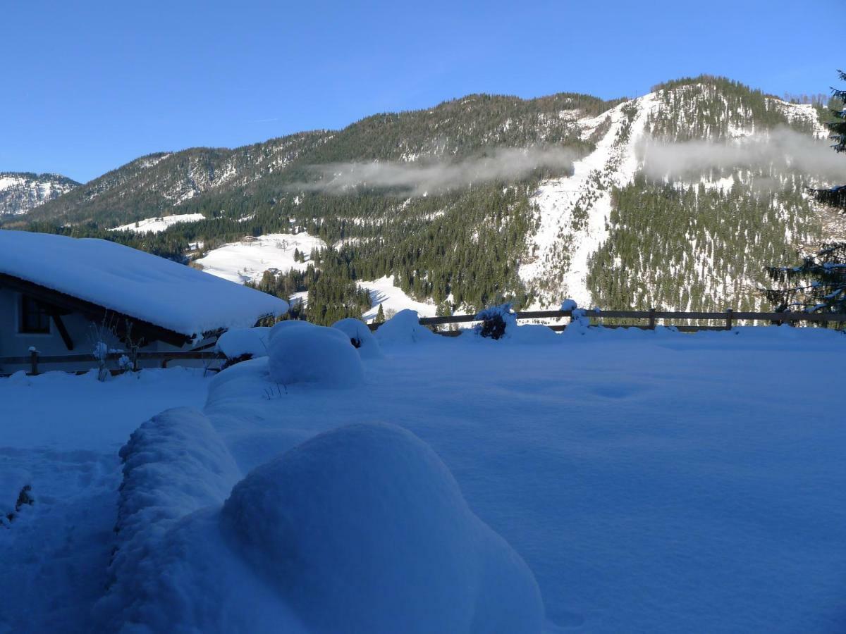 Alpenhaus Dachstein.Zauber Lejlighed Abtenau Eksteriør billede