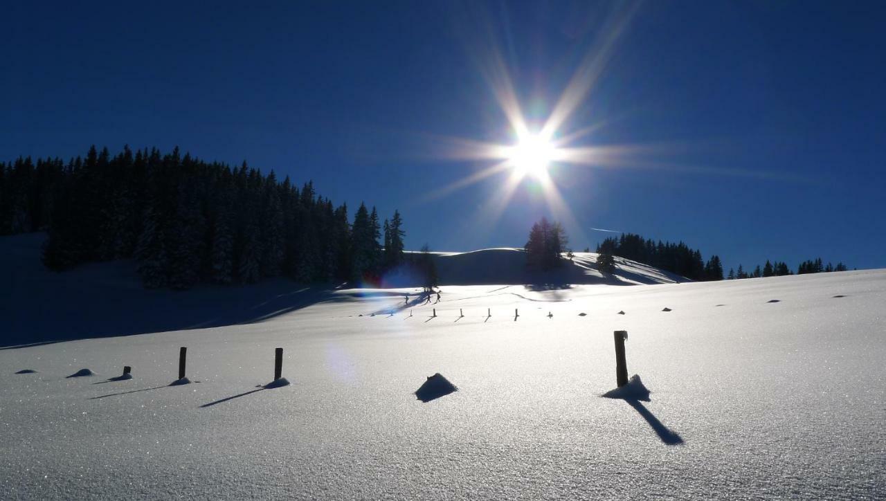 Alpenhaus Dachstein.Zauber Lejlighed Abtenau Eksteriør billede