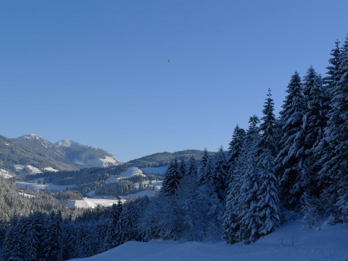 Alpenhaus Dachstein.Zauber Lejlighed Abtenau Eksteriør billede