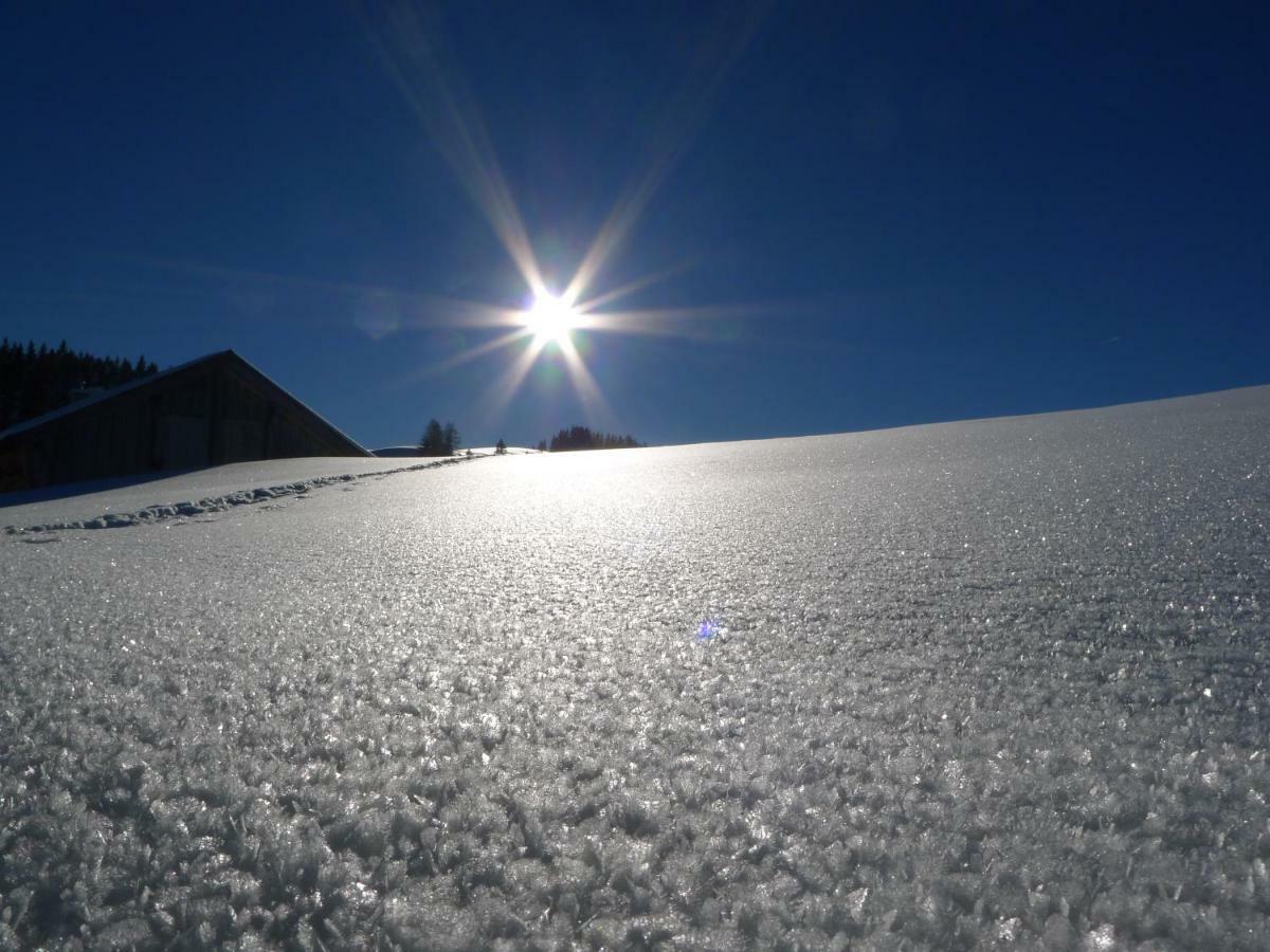 Alpenhaus Dachstein.Zauber Lejlighed Abtenau Eksteriør billede