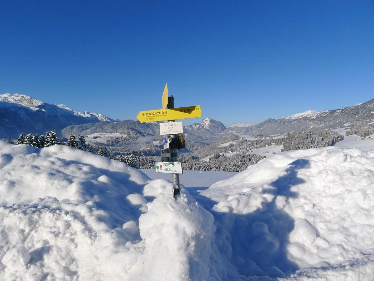 Alpenhaus Dachstein.Zauber Lejlighed Abtenau Eksteriør billede