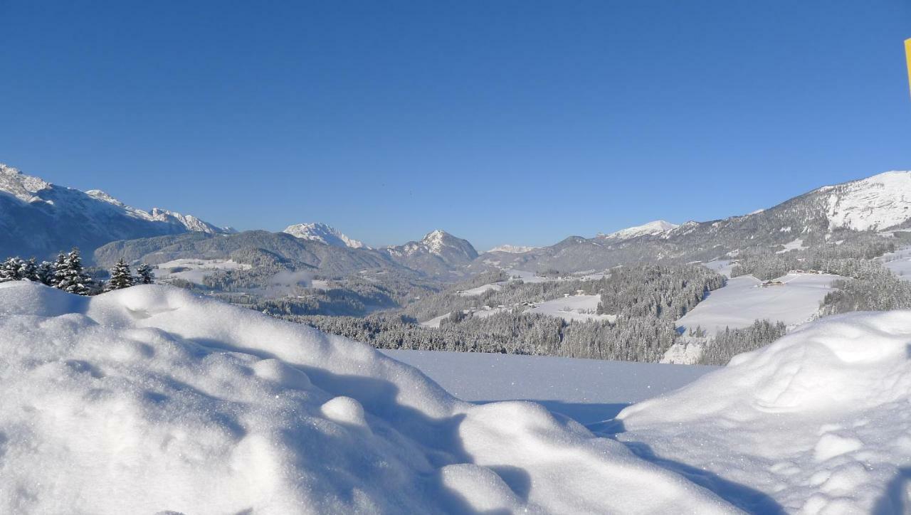 Alpenhaus Dachstein.Zauber Lejlighed Abtenau Eksteriør billede